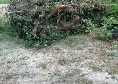 Affordable Junk Removal