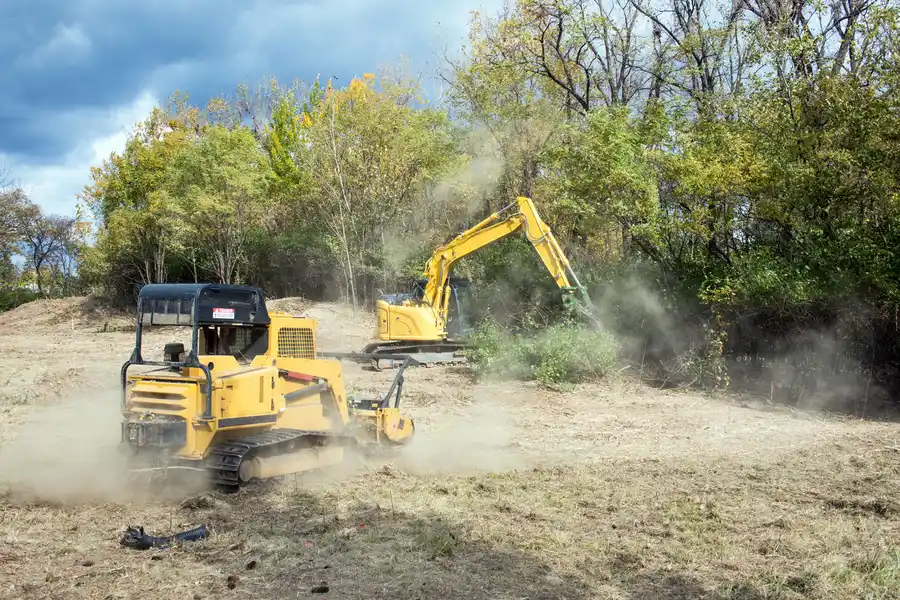 Expert Land Clearing Jacksonville, FL