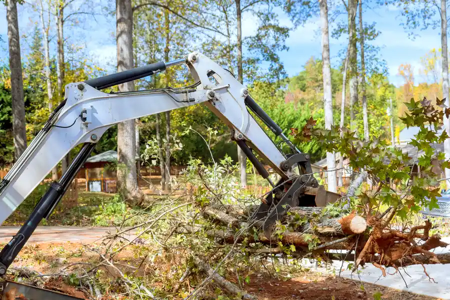 Local Land Clearing Jacksonville, FL
