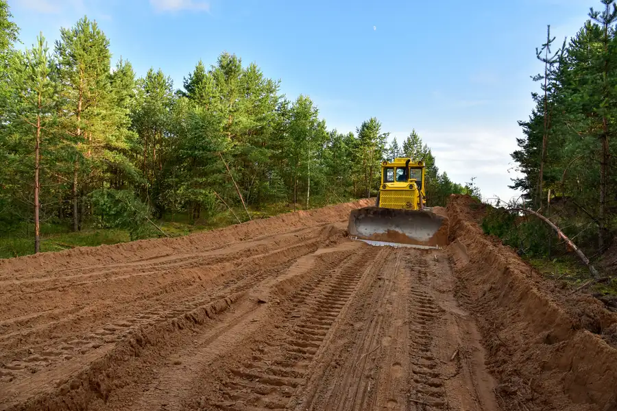 Why Proper Land Clearing Is Crucial For New Construction in Jacksonville, FL