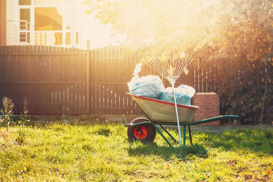 Why Timely Yard Cleanup Can Prevent Major Landscaping Issues in Jacksonville, FL